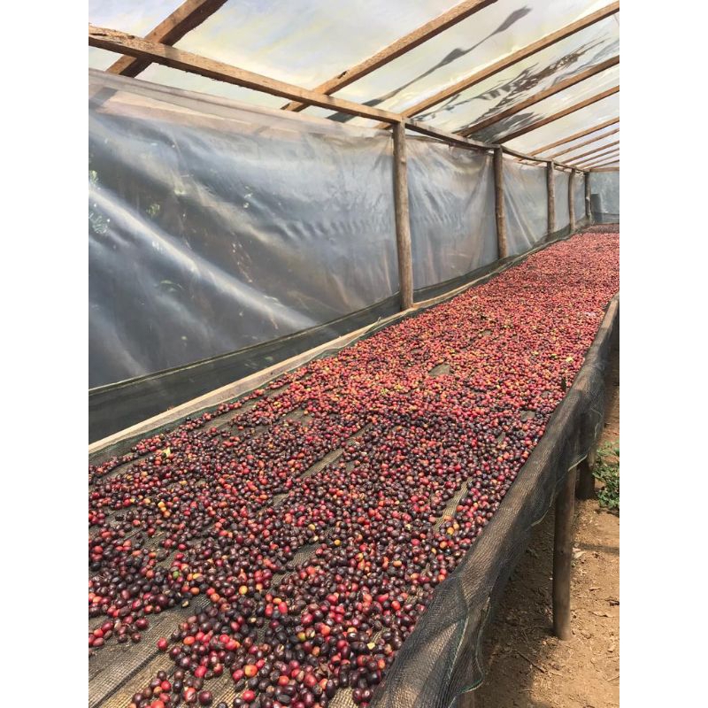 

pangalengan semi wash Grade 1