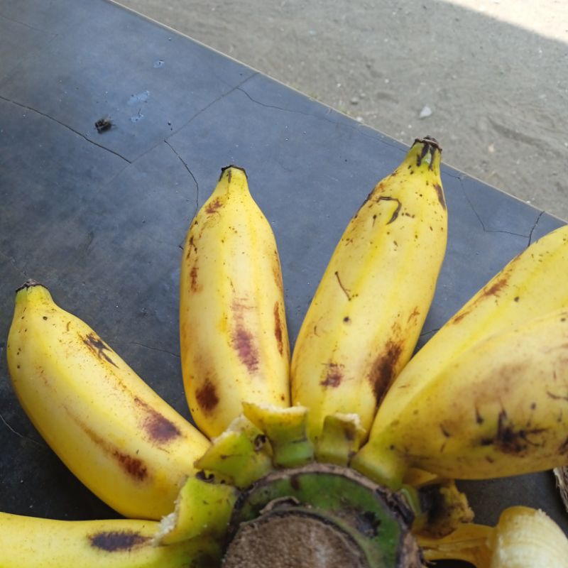 

PISANG MURLIN MANIS