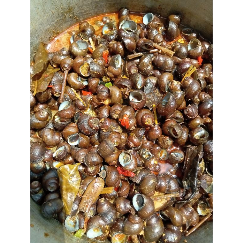 

Tutut Sawah Frozen 1 kg Tinggi Vitamin sudah matang tinggal masak