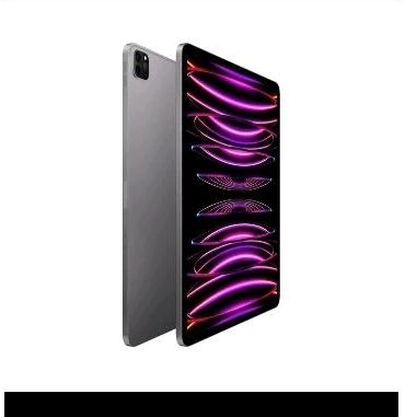 Ipad Pro M2 256GB KOHCUN garansi inter (second)