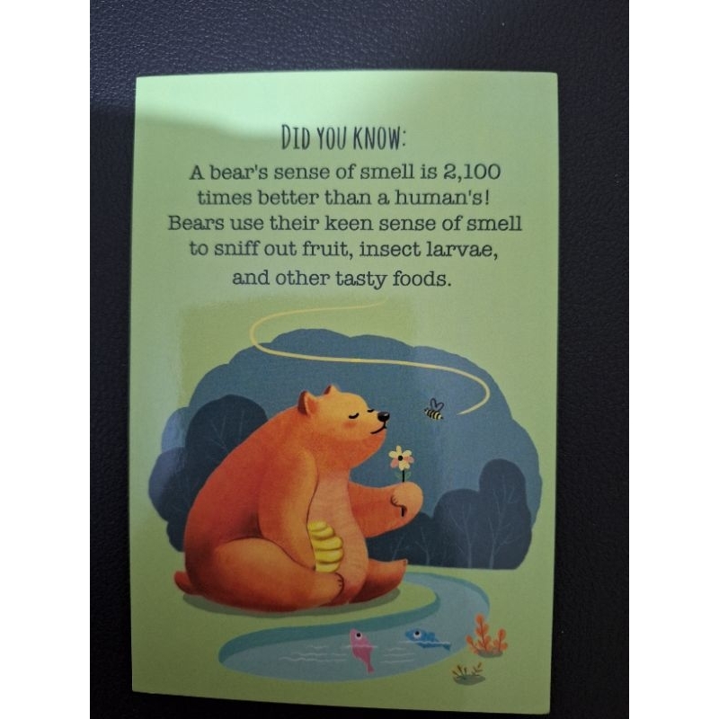 

kartu pos beruang/did you know bear postcard