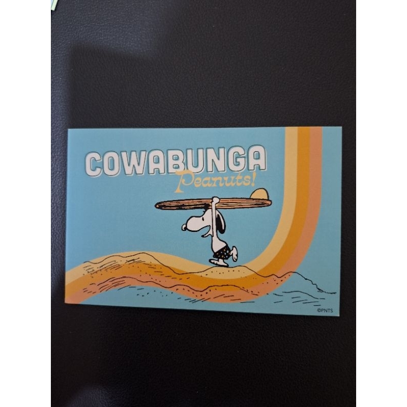 

kartu pos snoopy/snoopy postcard