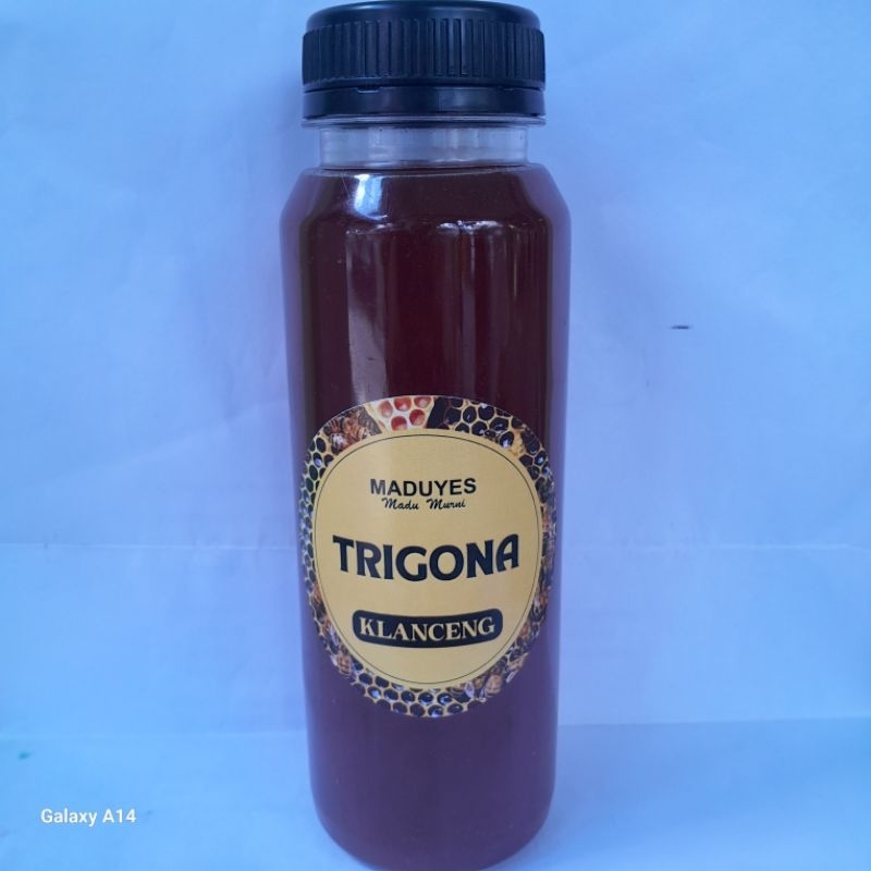 

madu klanceng trigona 250ml murni 100% tanpa campuran