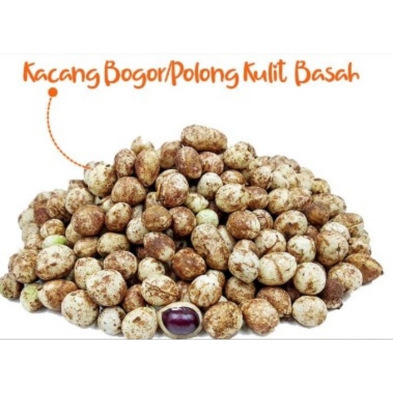 

Kacang polong bogor tua mentah