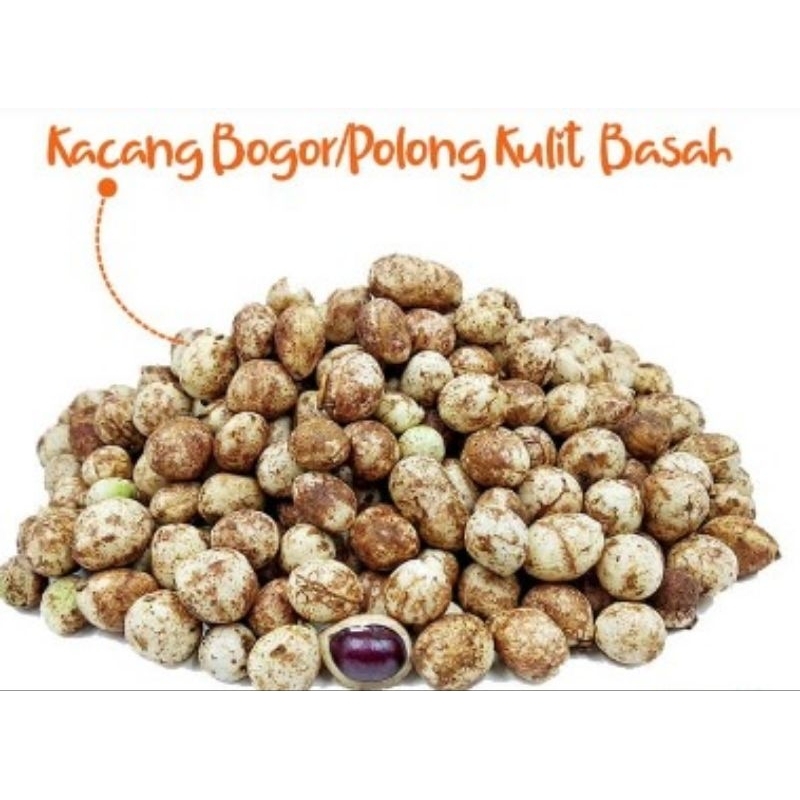 Kacang polong bogor tua mentah