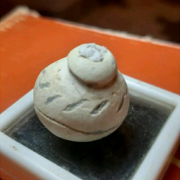 Batu buli buli klenting mungil putih