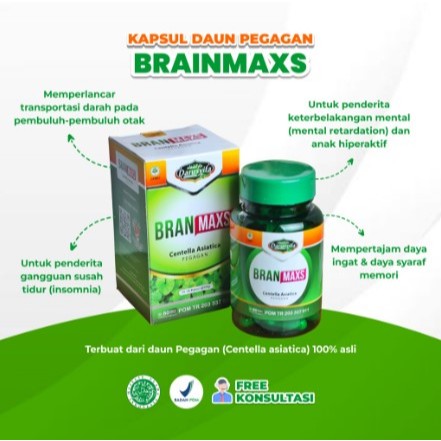 Kapsul pegagan BrainMaxs - Kapsul Daun Pegagan