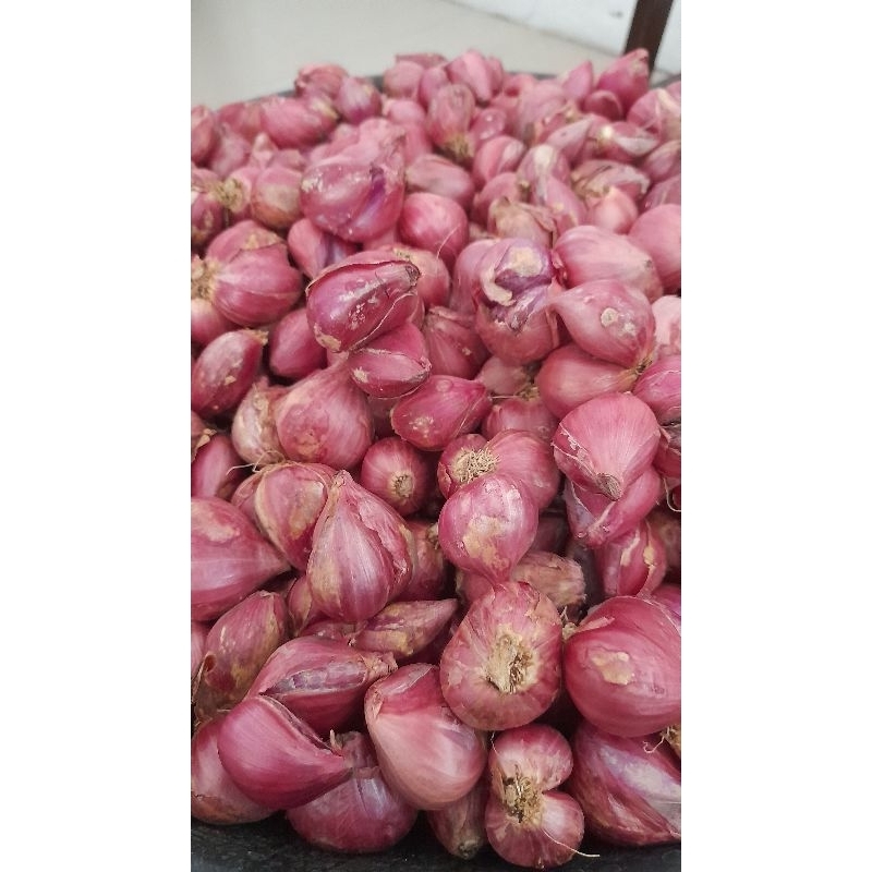 

PREMIUM SUPER Bawang merah ukuran king Besar kering 1kg