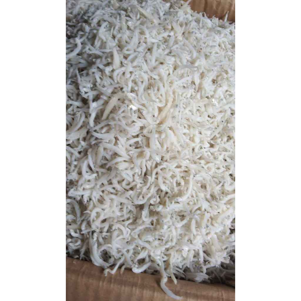 

Ikan Teri Nasi Medan / Teri Medan / Teri Putih Best Seller