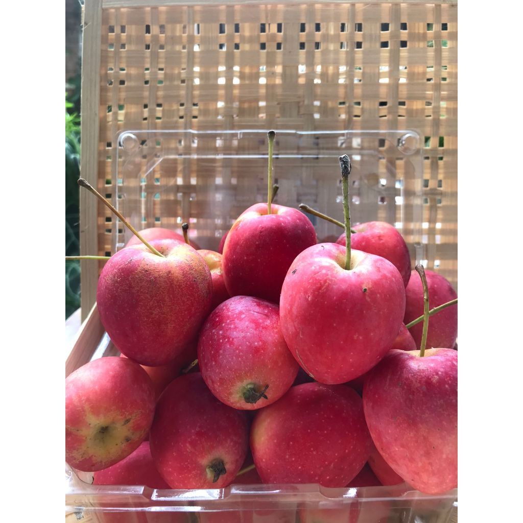 

Apel Strawberry 500gr Buah Import Segar Pilihan