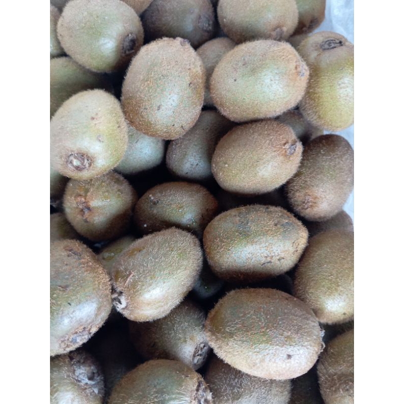 

BUAH KIWI HIJAU 500GR
