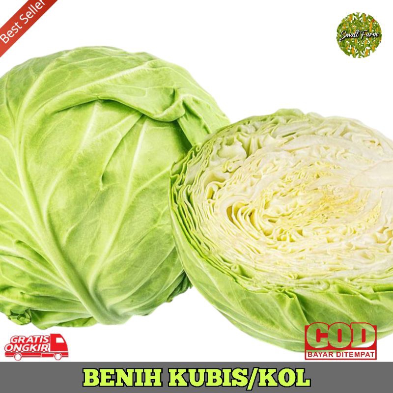

Benih kubis/kol repacking isi 25benih