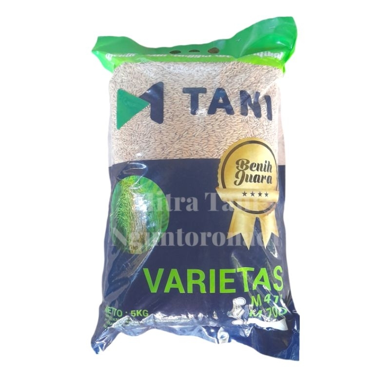 Benih Padi Unggul Genjah M70-D Cap M Tani 5Kg