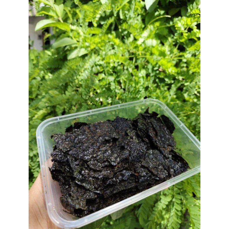 

cemilan sehat nori rumput laut