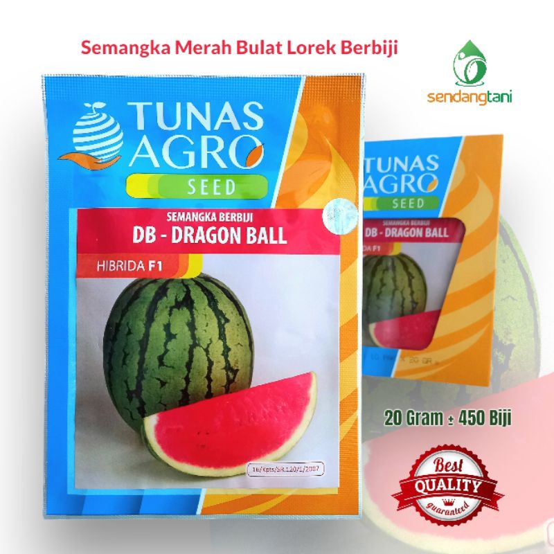 Semangka DRAGON BALL F1 20 gr Berbiji Benih Bibit Hibrida Cap Tunas Agro Seed