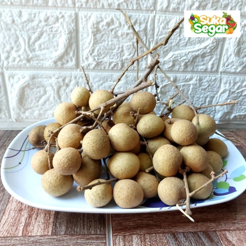 

Lengkeng Bangkok Manis Super Jumbo 500gr