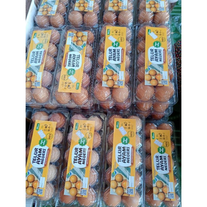 

telur dalam negeri