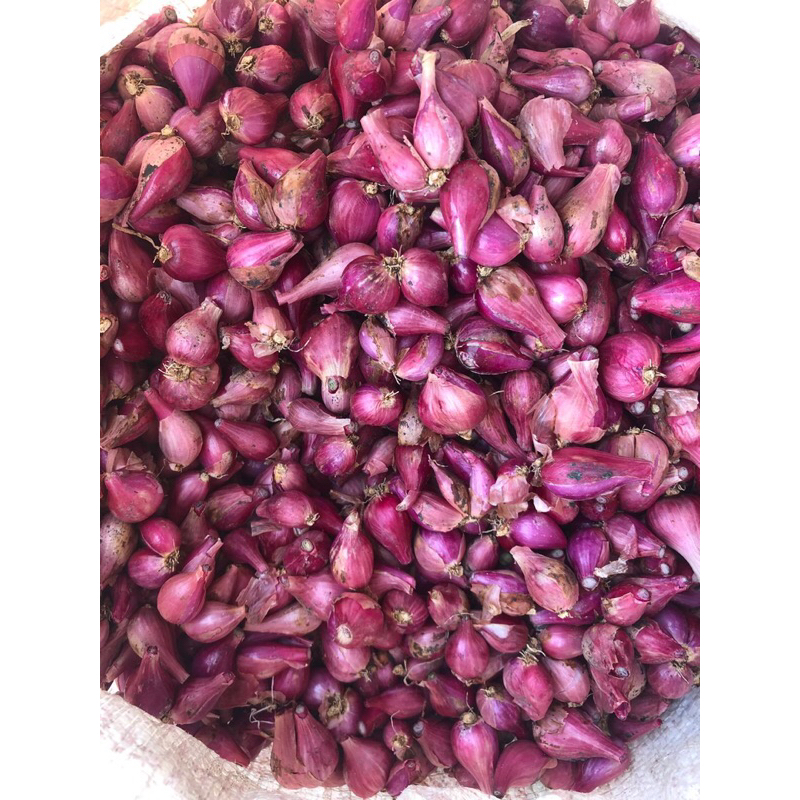 

Bawang Merah