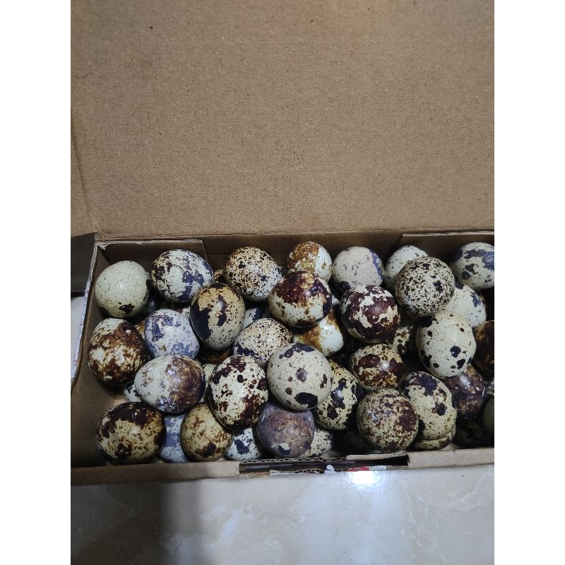 telur puyuh 1kg