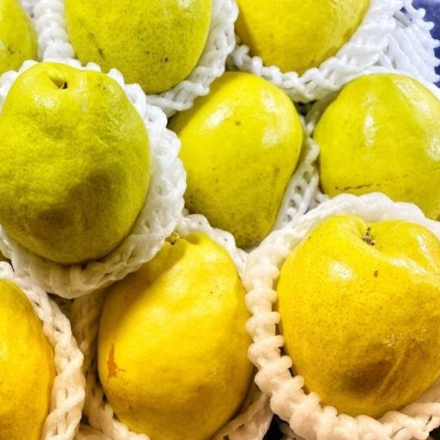 

Buah pear xianglie premium quality / 500gr