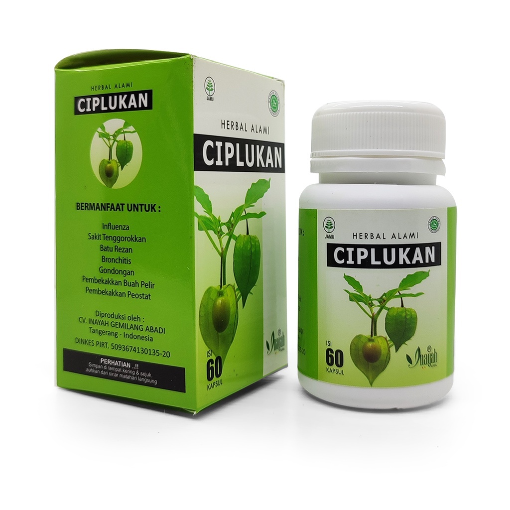 Herbal Alami CIPLUKAN kapsul daun ciplukan