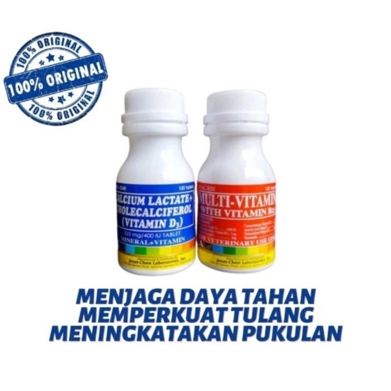 Kalsium lactate obat tulang ayam tarung philipine Bangkok