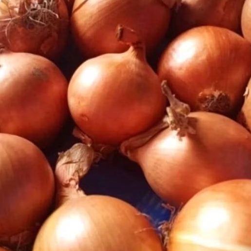 

BAWANG BOMBAY/BUMBU DAPUR/PENYEDAP RASA/COD