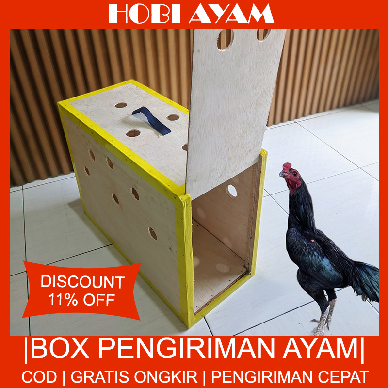 Box Ayam Murah Berkualitas | Box Pengiriman | Box Carry Hewan | Box Ayam COD | Box Ayam HOBI | Hobi 