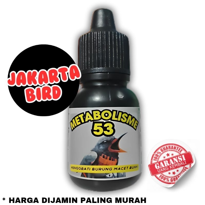 Metabolisme 53 metabolisme burung