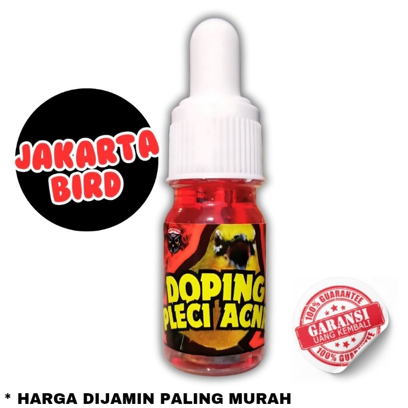 Doping pleci acnr doping burung pleci