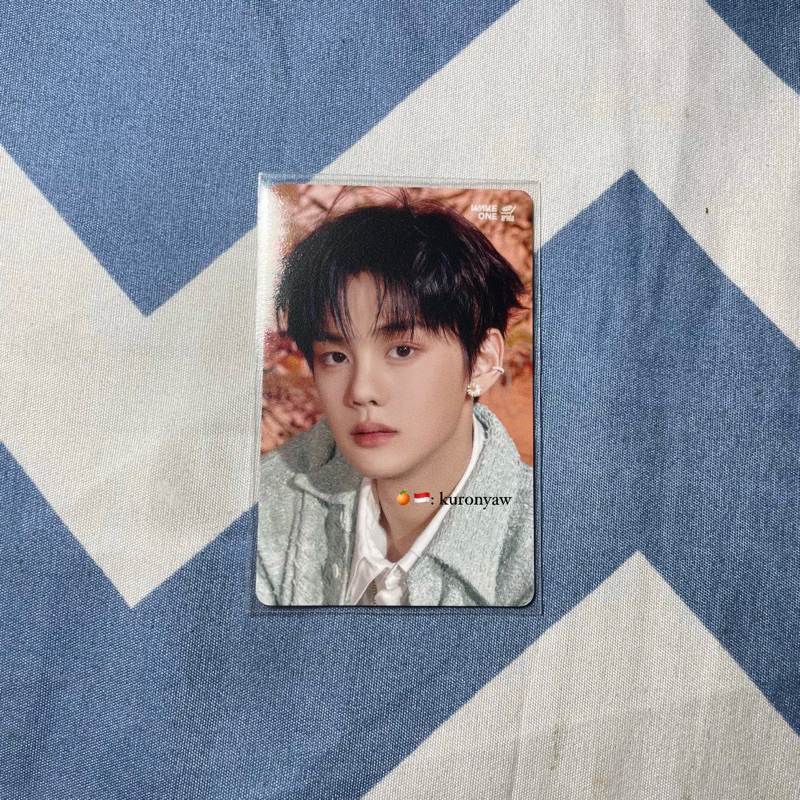 [baca desk] photocard official gyuvin pob torec