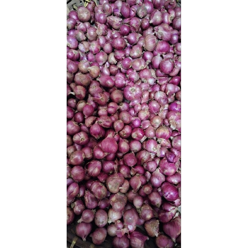 

Bawang merah 1kg