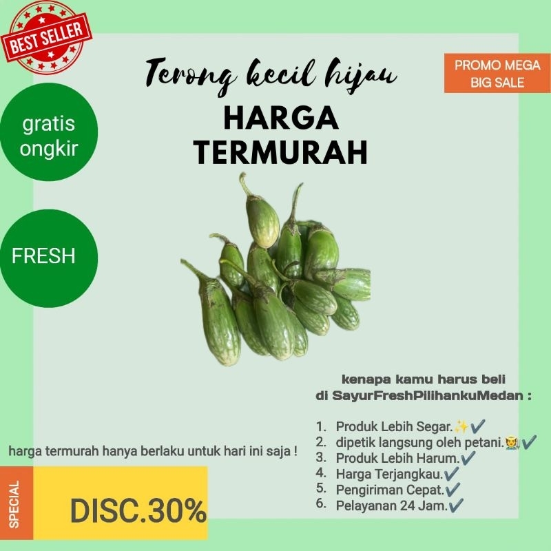 

promo termurah terong kecil hijau/ terong tauco lebih segar dan lebih sehat di panen langsung oleh petani brastagi