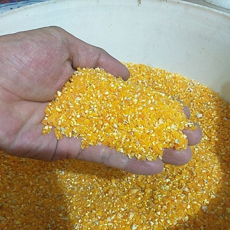jagung selip super bersih menir jagung bersih jagung giling 1 kg