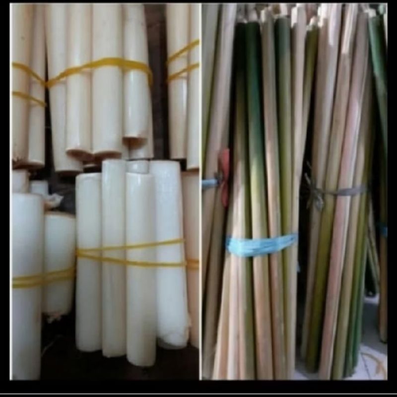 

Batang Rias/Kincong/Kecomberang 1 kg