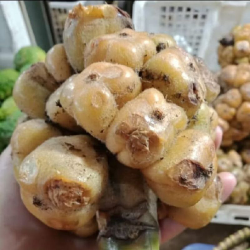 

Asam Cekala/Asam Cikala/Asam Patikala 250 gram