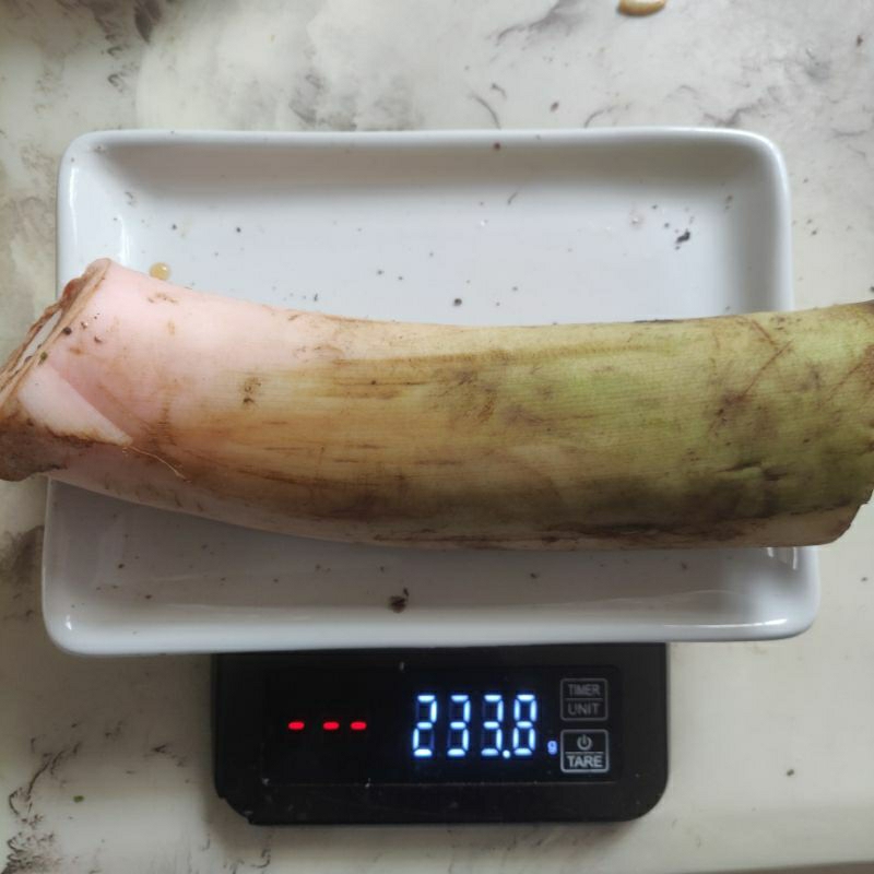 

Batang talas 250 g