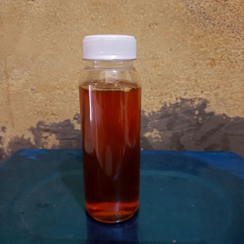 

MADU LEBAH HUTAN ASLI 100ML