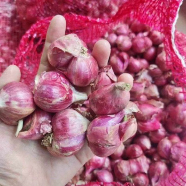 

Bawang merah Brebes