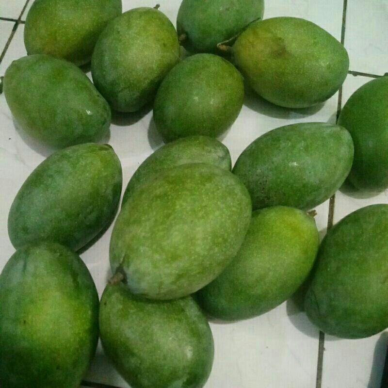 

mangga madu manalagi