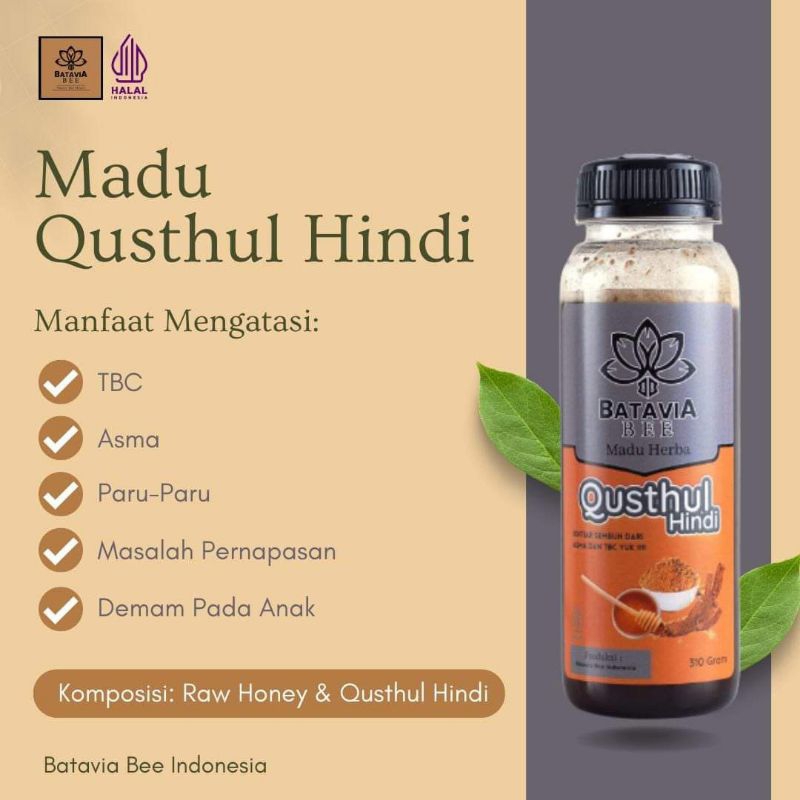 

madu herbal qhustul untuk sesak nafas asma tbc