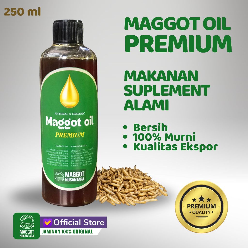 Maggot BSF Oil 250ml - Minyak Maggot - Maggot Nusantara