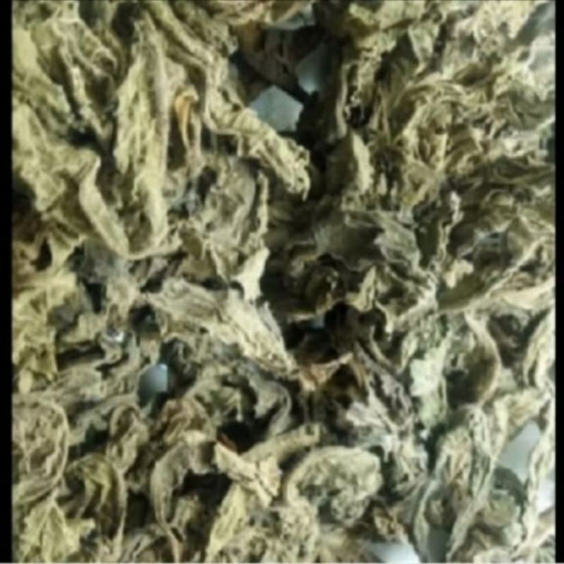 

Rempah Daun Tapak Liman Kering 1 Kg