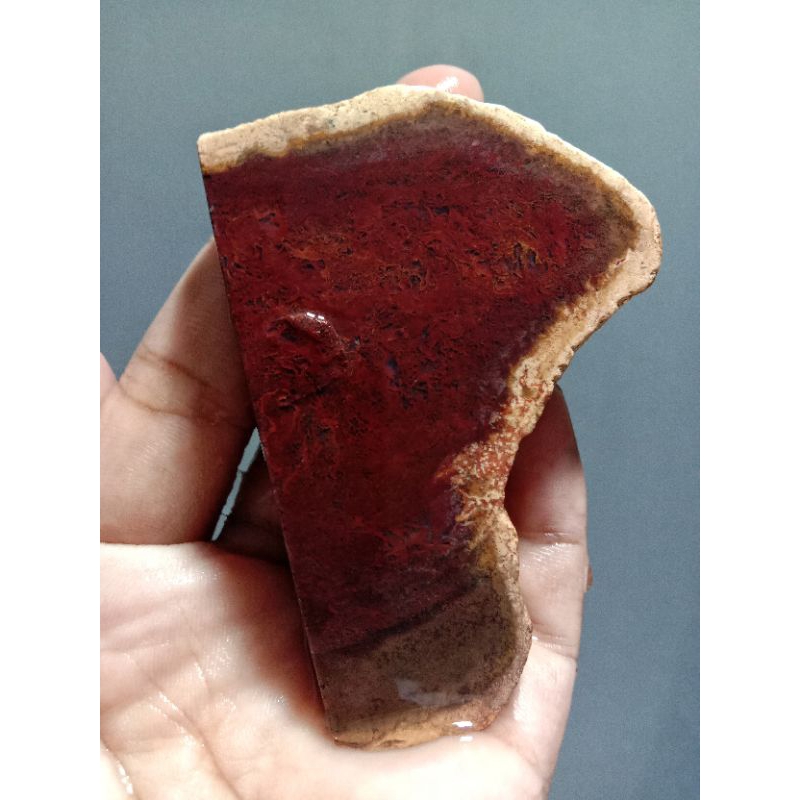 Rough Bahan Lumut Suliki Merah