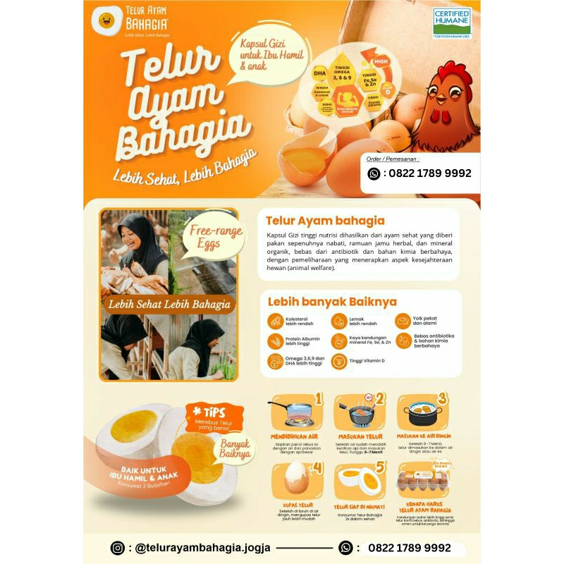 

Telur ayam Bahagia Premium