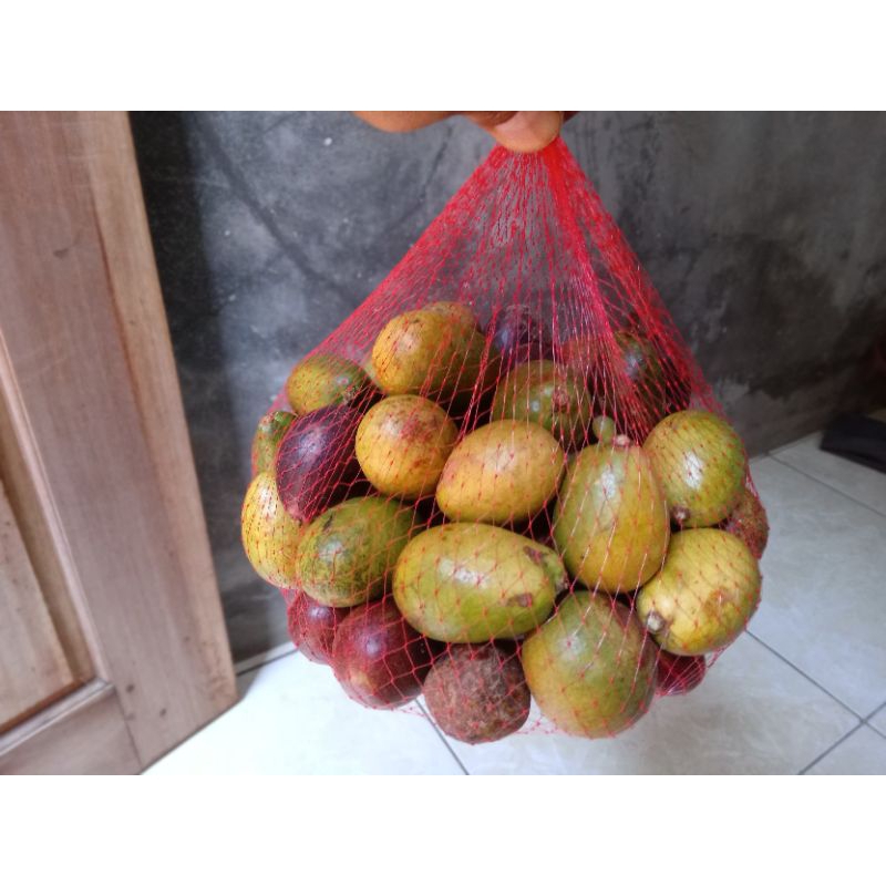 

BUAH MATOA FRESH PAKET 2KG MANIS