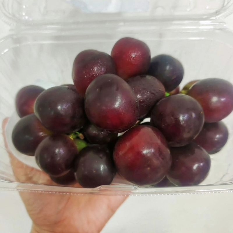 

ANGGUR PREMIUM BLACK MUSCAT