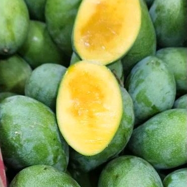 

Mangga manalagi Situbondo 500 gram mana lagi manalagi