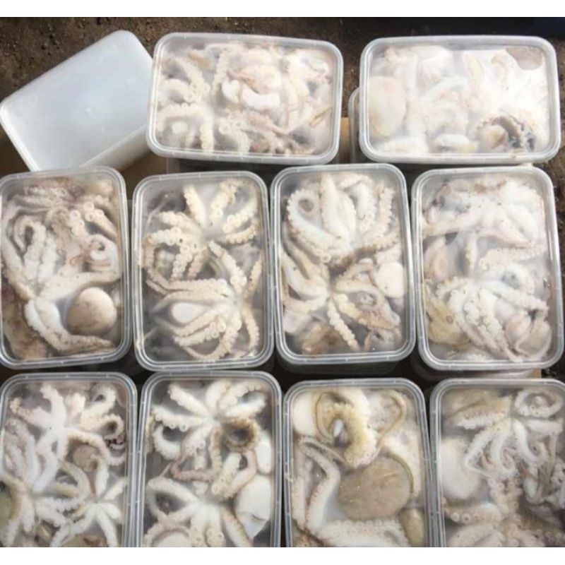 

ANEKA IKAN DAN SEAFOOD MENTAH KHUSUS PENGIRIMAN INSTAN DAN SAMEDAY