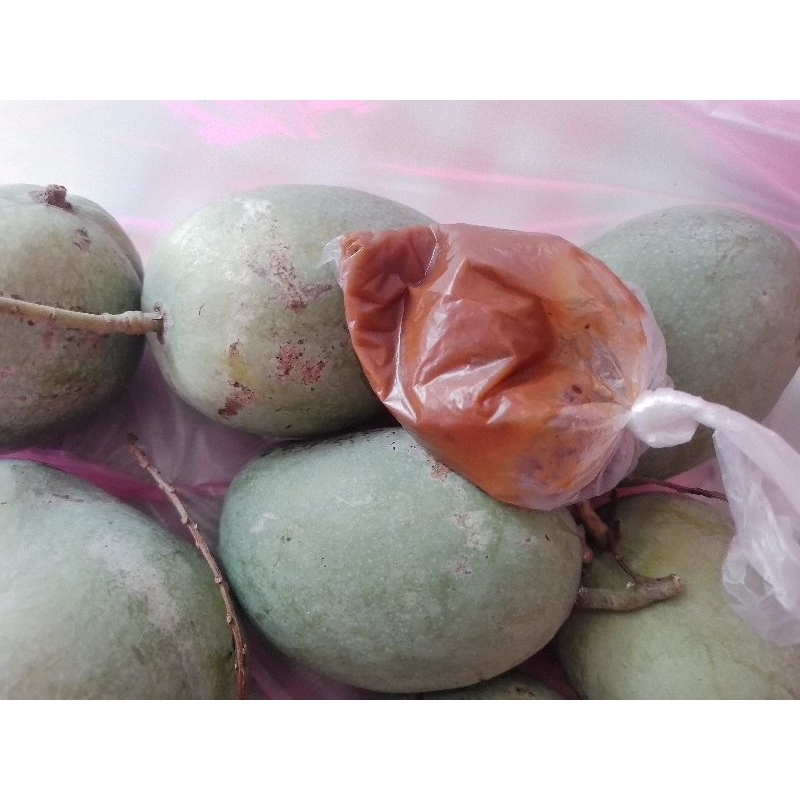 

Mangga muda 1kg Fresh pesan baru petik free sambal rujak